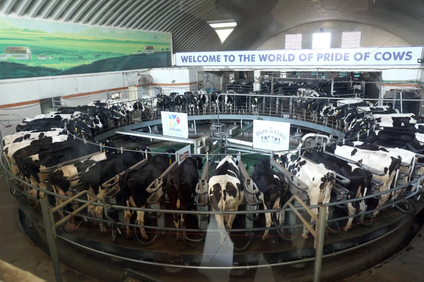 Parag Milk Foods Private Limited